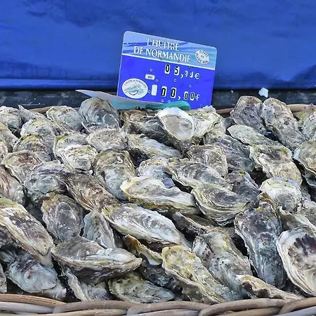 Holiday - Sat01032-f Soulac-sur-Mer